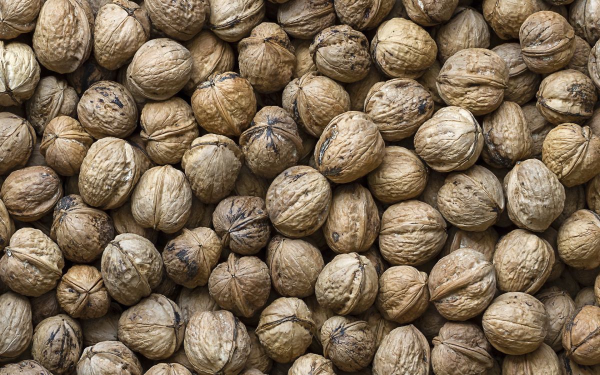 brown and beige round fruit