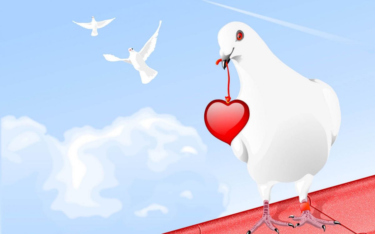 heart, bird, love, cloud, romance