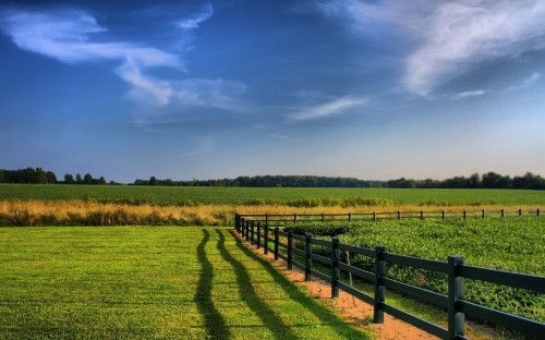 Image green grass field under blue sky during daytime