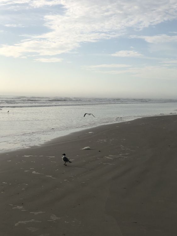 大海, 风波, 海洋, 人体内的水, 流体 壁纸 2797x3725 允许