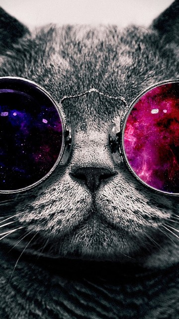 Image silver tabby cat with purple eyes