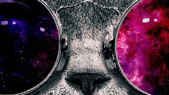 Image silver tabby cat with purple eyes