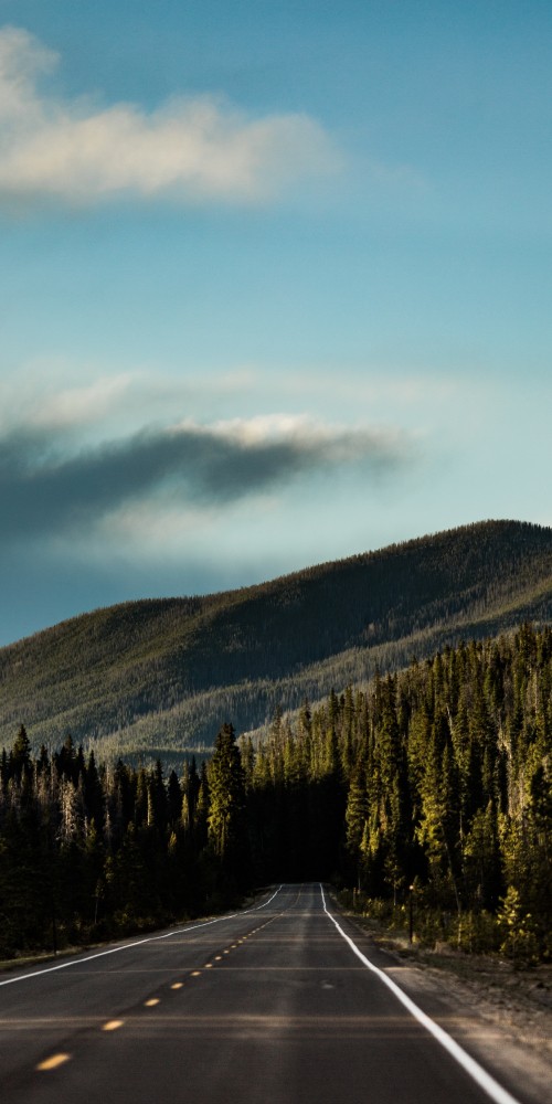 Image driving in a forest, forest, road, cloud, mountain