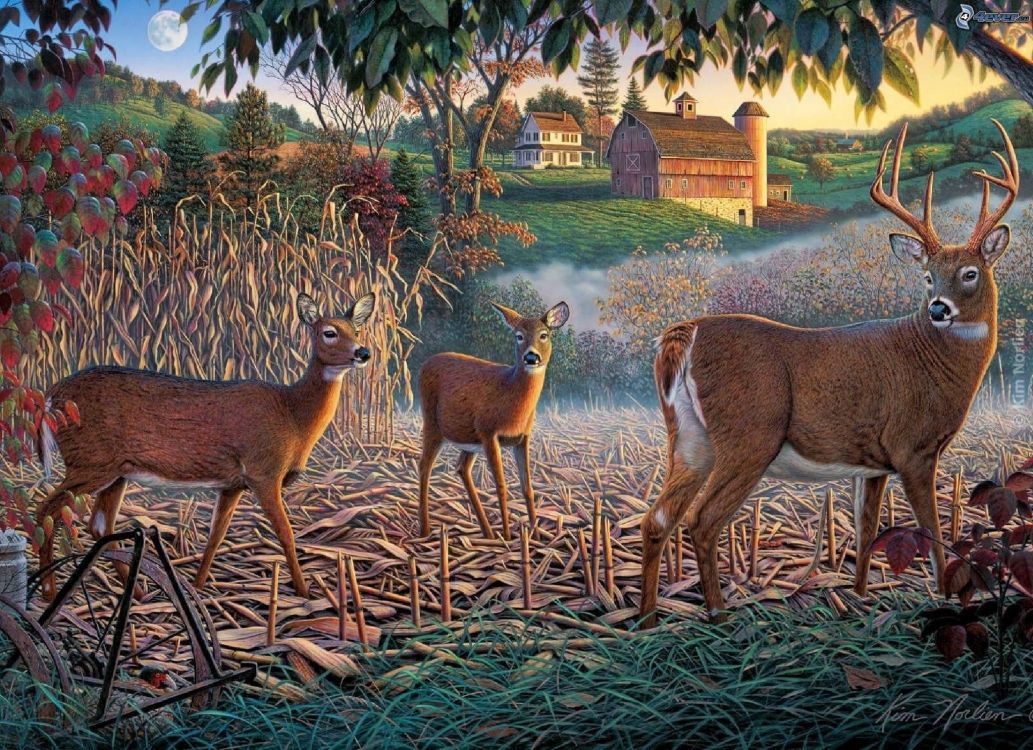 艺术, 野生动物, 陆地动物, 拼图, 草 壁纸 2048x1486 允许