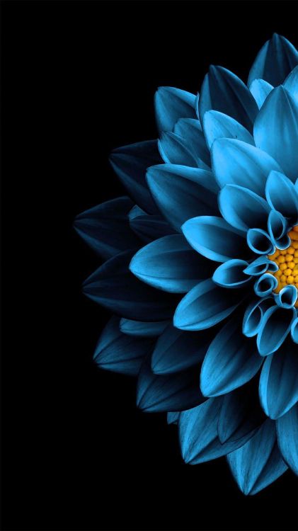 Aesthetic Black Flowers Image Wallpaper Download | MobCup