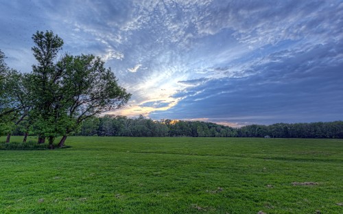 Image green grass field with trees under blue sky during daytime