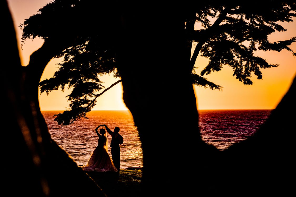 sunset, MARBL, tree, sunrise, water