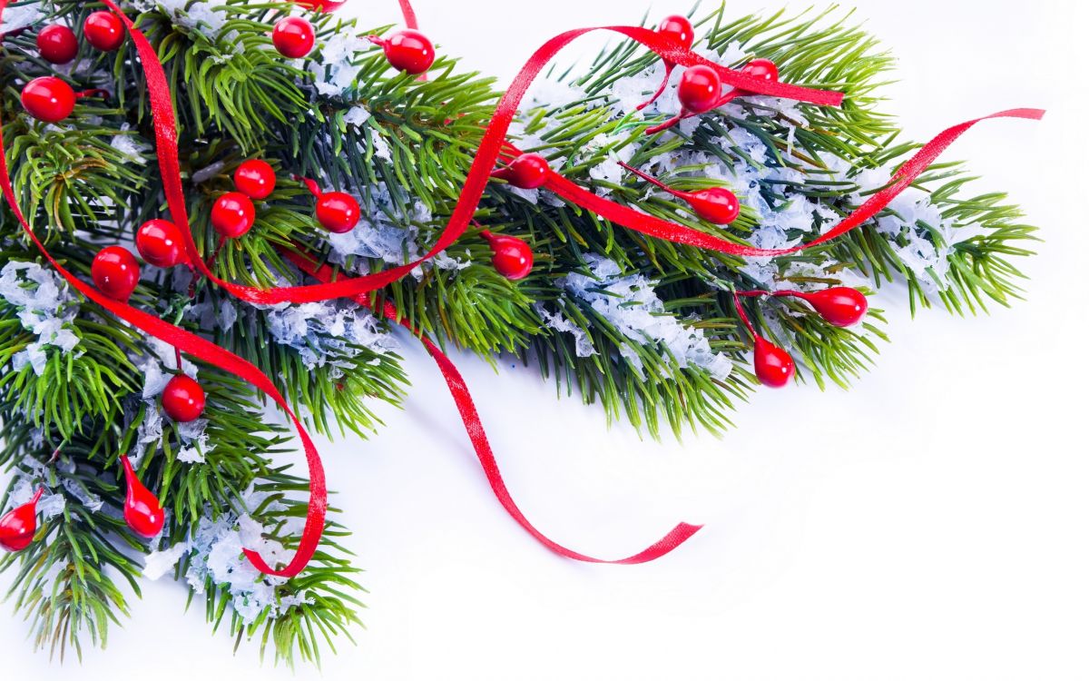 Weihnachten, Weihnachtsbaum, Weihnachtsdekoration, Branch, Baum. Wallpaper in 2560x1600 Resolution