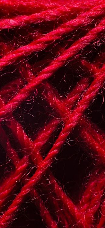 Close Up, Texture, Hair, Nature, Purple. Wallpaper in 1080x2340 Resolution