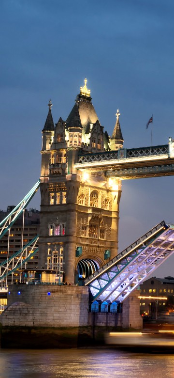 Image brown bridge under blue sky during night time