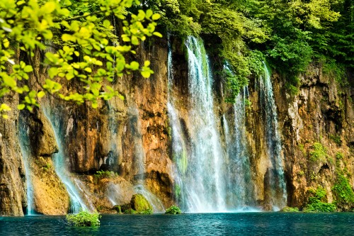 Image green leaves near waterfalls during daytime