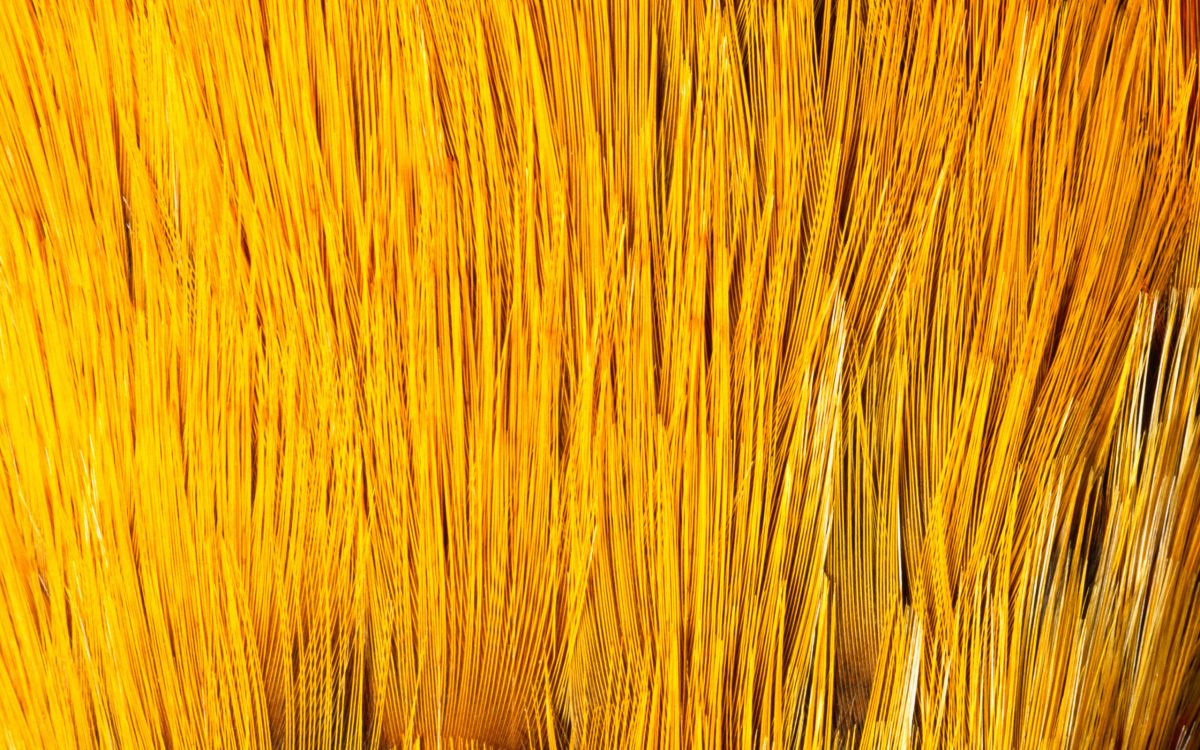 Peinture Abstraite Jaune et Noire. Wallpaper in 2560x1600 Resolution