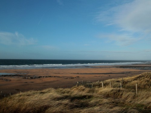 Image brown grass field near sea under blue sky during daytime