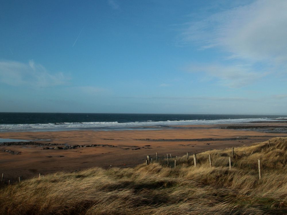 brown grass field near sea under blue sky during daytime