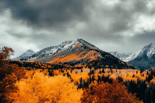 Image Alpine, autumn, mountain, nature, cloud