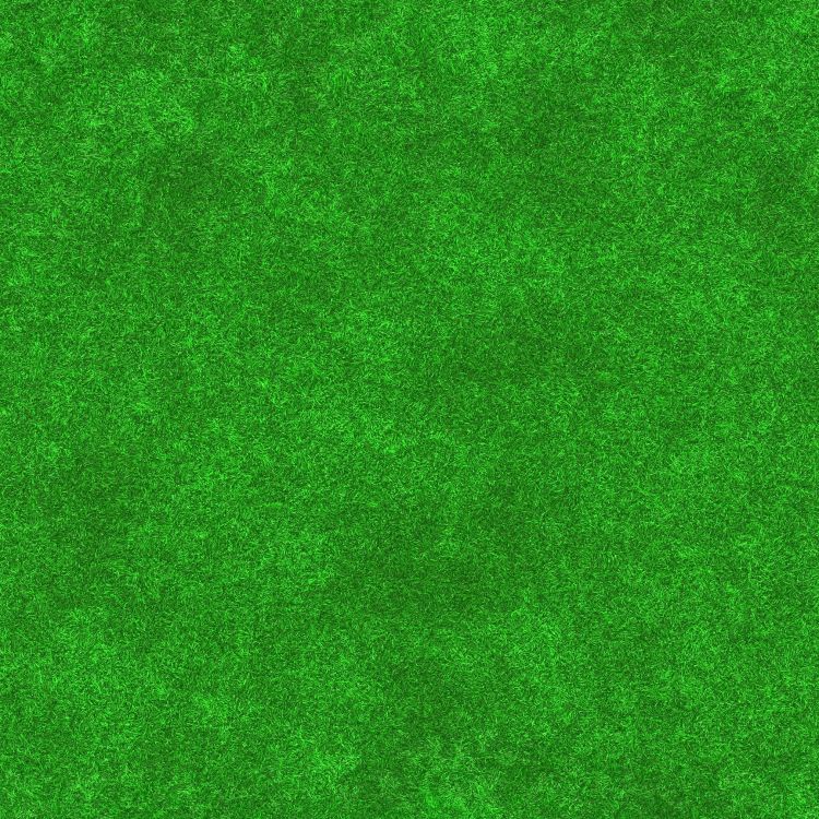 Persona en Pantalones Negros de Pie Sobre Una Alfombra Verde. Wallpaper in 2024x2024 Resolution