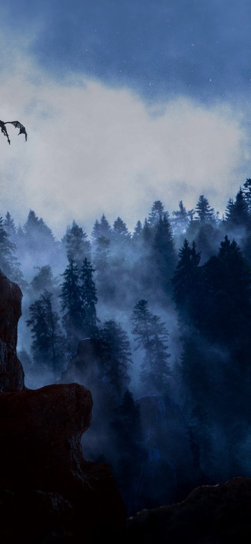 Image cloud, atmosphere, natural landscape, tree, highland