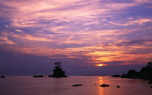 Image silhouette of trees on island during sunset