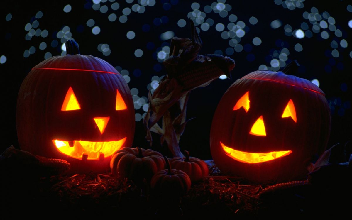 Calabaza, Jack O'lantern, Calor, Cucurbita, Halloween. Wallpaper in 2560x1600 Resolution