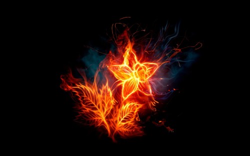 Image orange and red fire in the dark