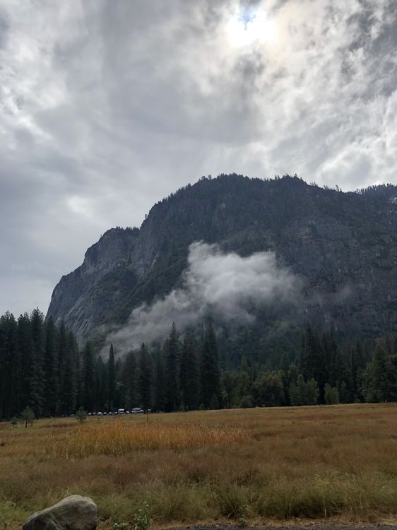 Highland, Entorno Natural, Las Formaciones Montañosas, Paisaje Natural, la Comunidad Vegetal. Wallpaper in 1536x2048 Resolution