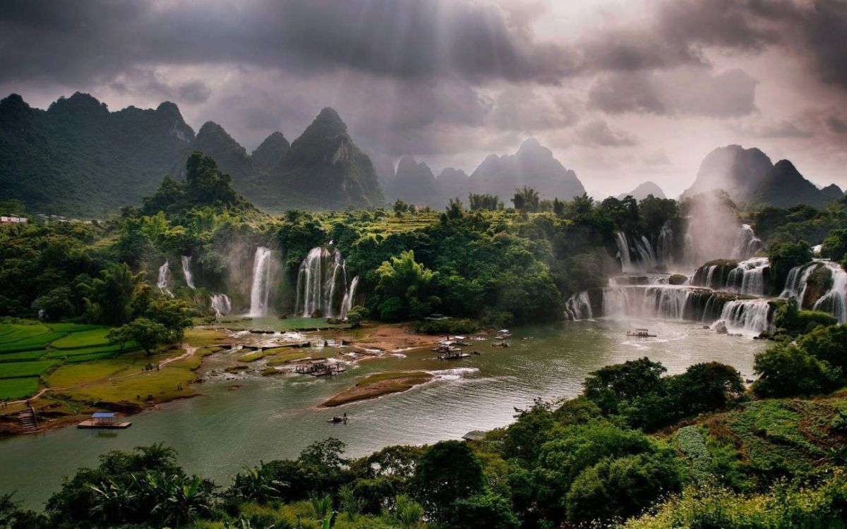 green trees near water falls