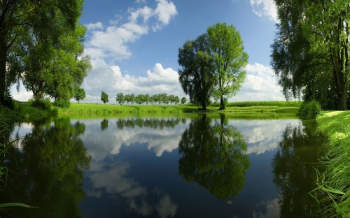 Image green grass field near lake under blue sky during daytime