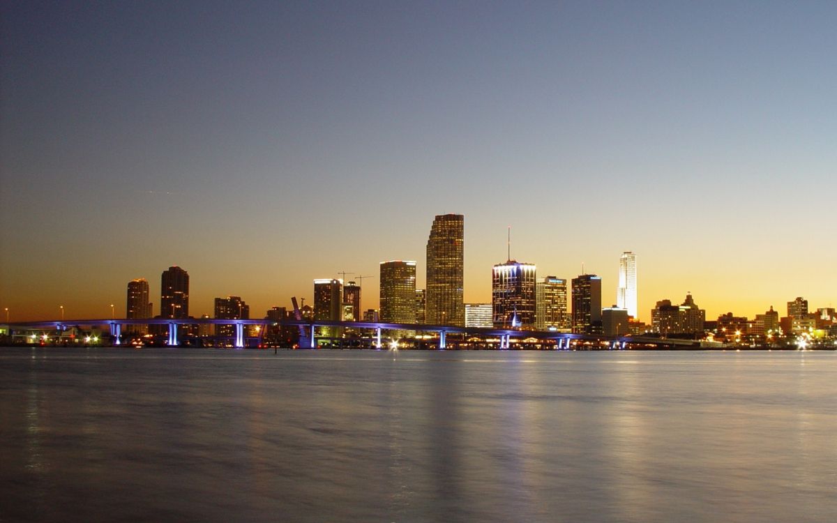 city skyline during night time