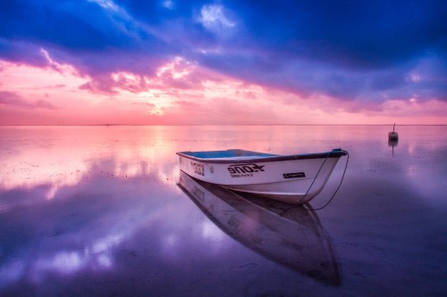 Image white and blue boat on body of water during daytime