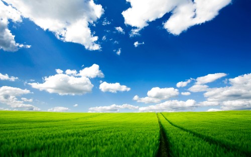 Image green grass field under blue sky and white clouds during daytime