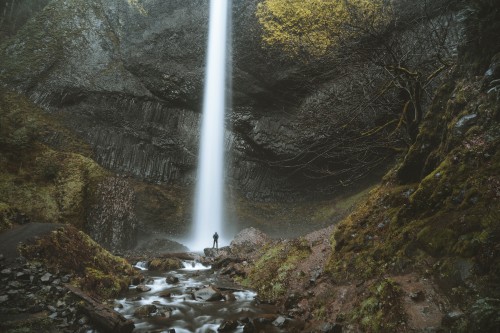 Image nature reserve, water feature, water, Oregon, old growth forest