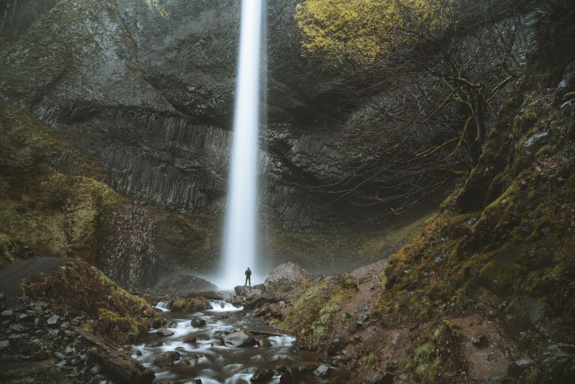 nature reserve, water feature, water, Oregon, old growth forest