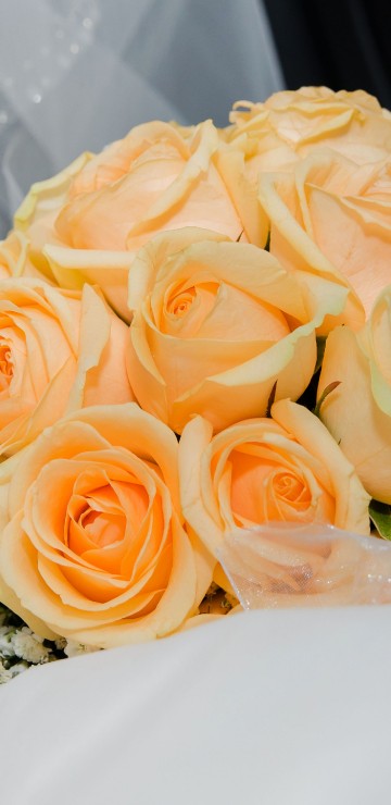 Image flower bouquet, flower, wedding, garden roses, bride