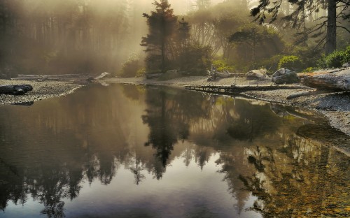 Image body of water near trees during daytime