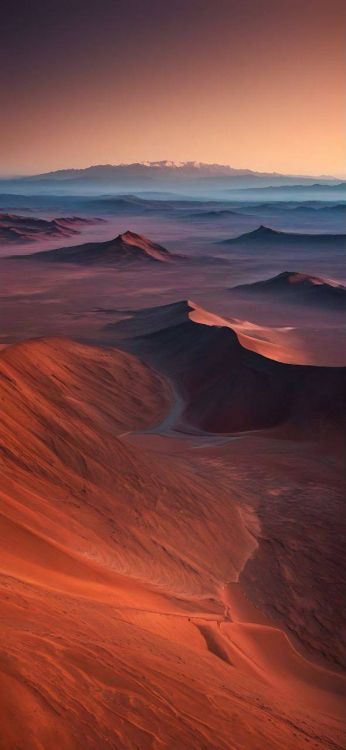 Sahara, Terrain, Dune, Color, Orange. Wallpaper in 591x1280 Resolution