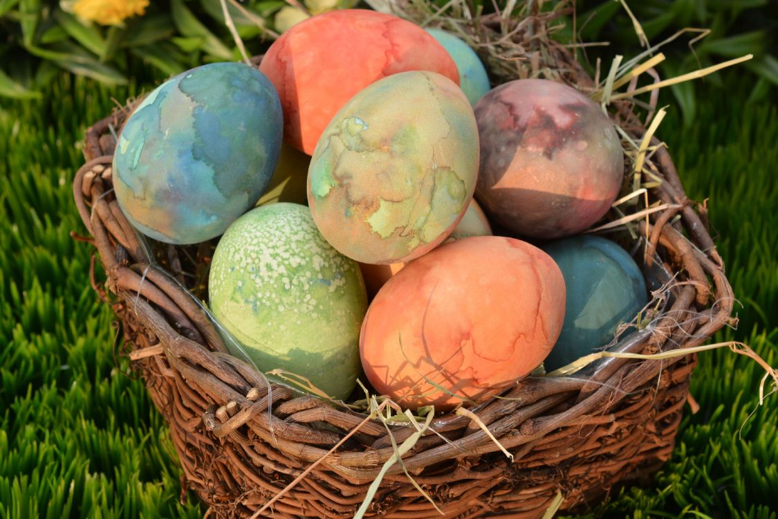 easter egg, egg, easter basket, easter bunny, nest