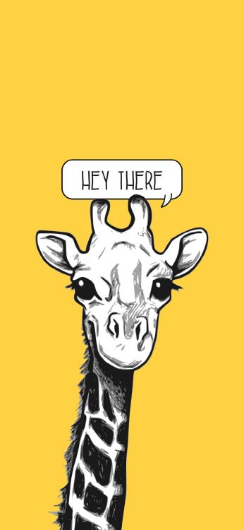 Liebe Giraffen, Giraffe, Giraffidae, Cartoon, Hals. Wallpaper in 1080x2340 Resolution