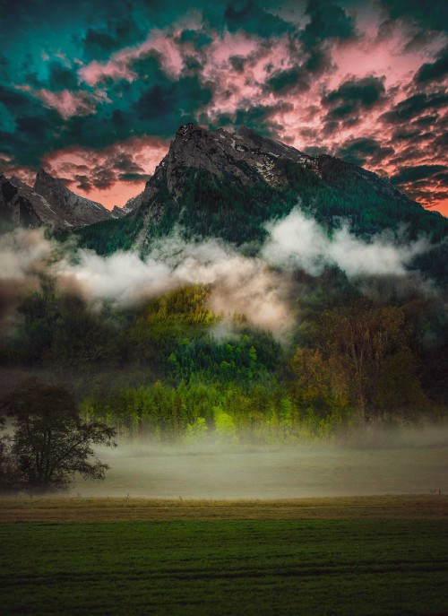 Image cloud, nature, natural landscape, green, tree