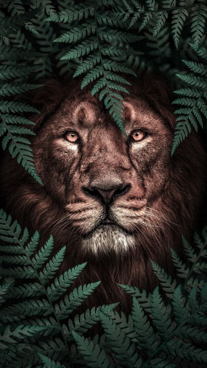 Head, Lion, Poster, Creative Work, Art. Wallpaper in 2160x3840 Resolution