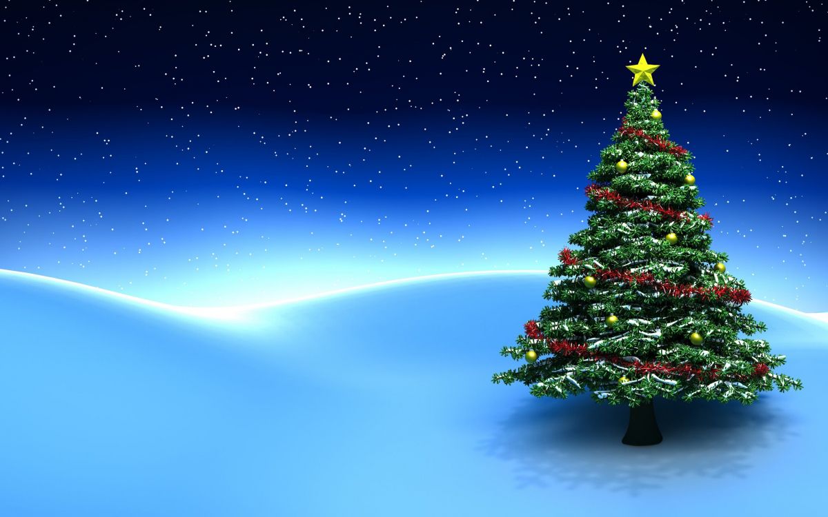New Year, Christmas Day, Christmas Tree, Tree, Christmas. Wallpaper in 2560x1600 Resolution