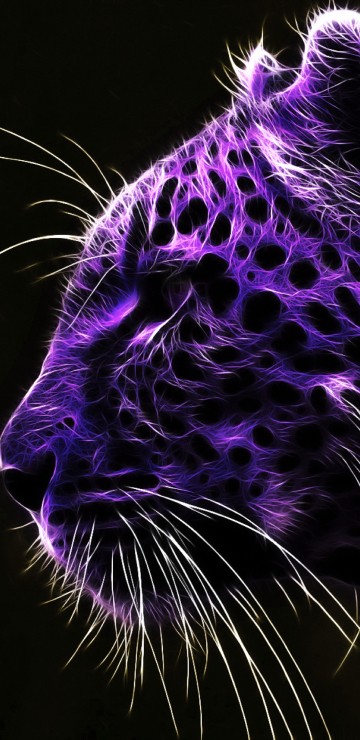 Image black and white leopard textile