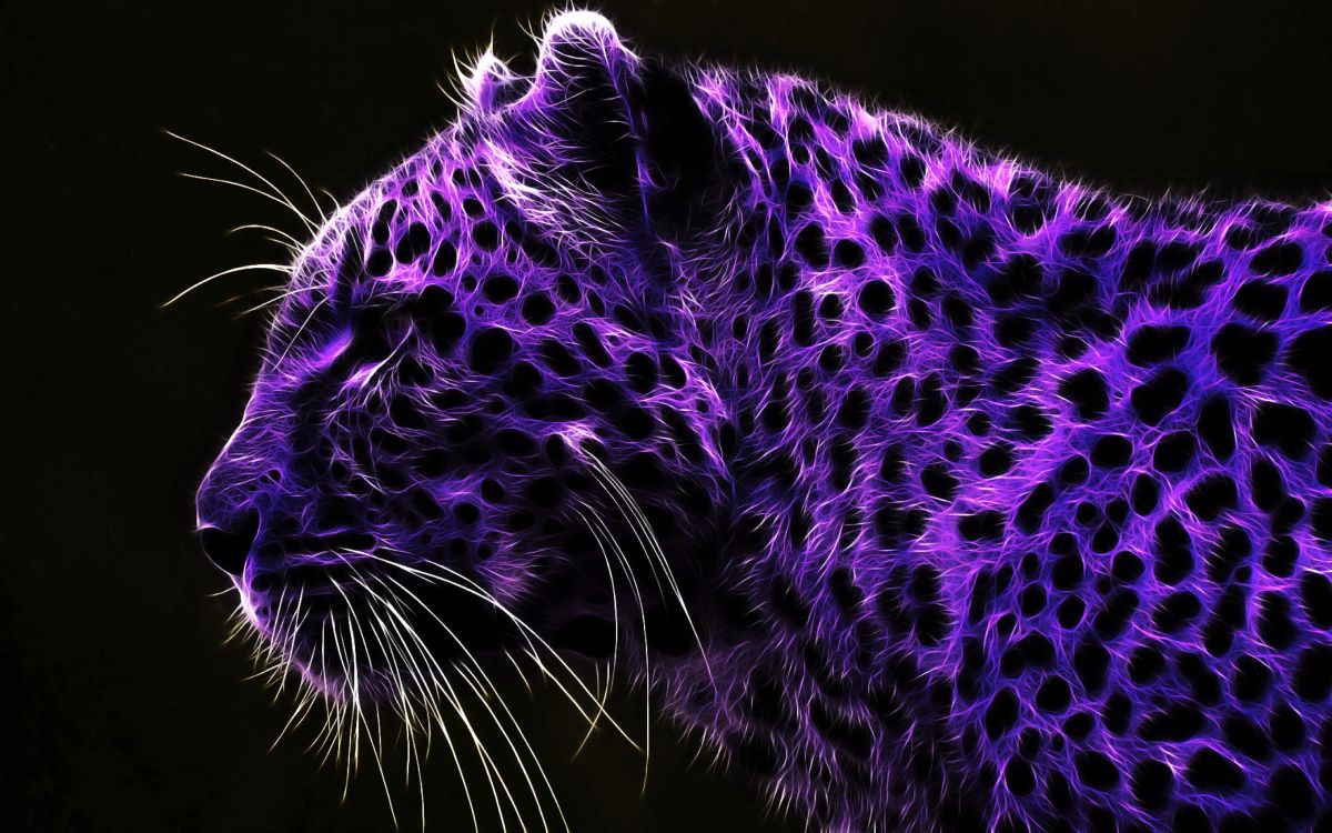 Black and White Leopard Textile. Wallpaper in 5120x3200 Resolution