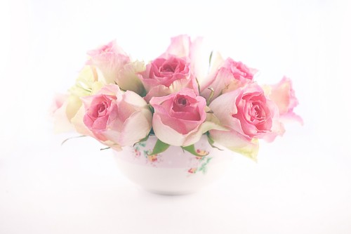 Image pink roses in white ceramic vase