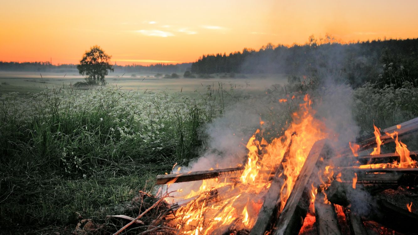 bonfire near lake during daytime