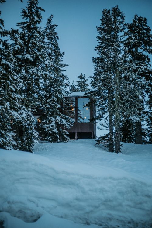 Winter, House, Snow, Tree, Nature. Wallpaper in 3840x5760 Resolution