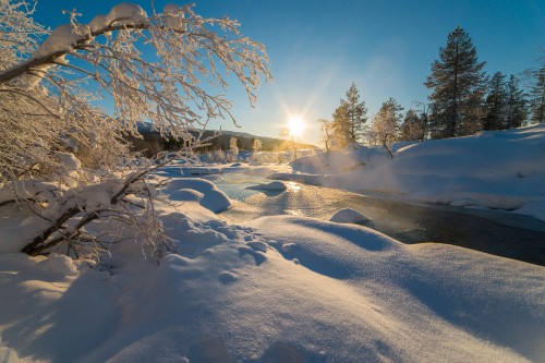 Image snow covered field with trees during daytime