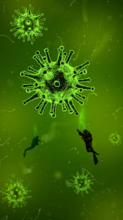 Virus, COVID-19, Coronavirus, Beatport, Plante Terrestre. Wallpaper in 2160x3840 Resolution