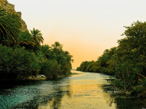 Image green trees beside body of water during daytime