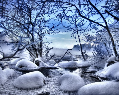 Image snow covered bare tree on snow covered ground under blue sky during daytime