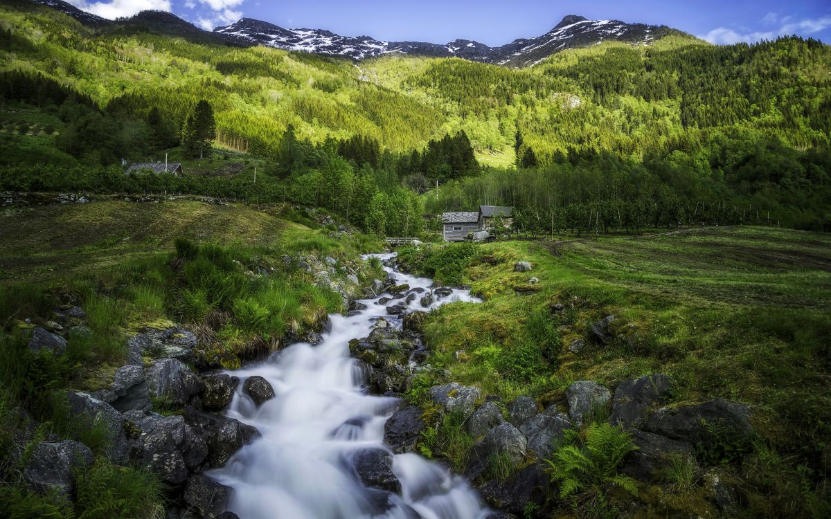 green grass field and green trees near mountain during daytime